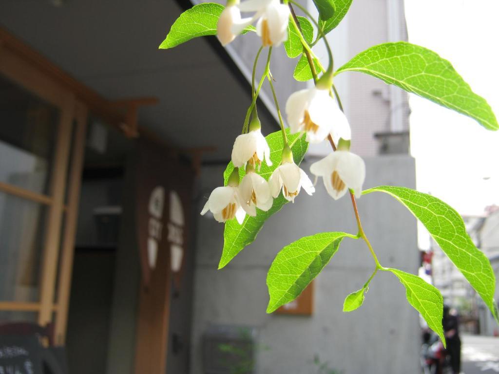 Guesthouse Hyakumanben Cross Kyoto Eksteriør billede